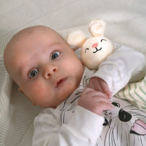 WOOPIE GREEN Pudełko XXL Montessori Sensoryka i Edukacja 7w1