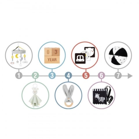 WOOPIE GREEN Pudełko XXL Montessori Sensoryka i Edukacja 7w1