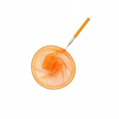 Siatka teleskopowa na motyle rybki owady podbierak dla dzieci N040P