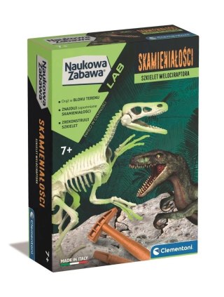 Naukowa zabawa Skamieniałości - Welociraptor
