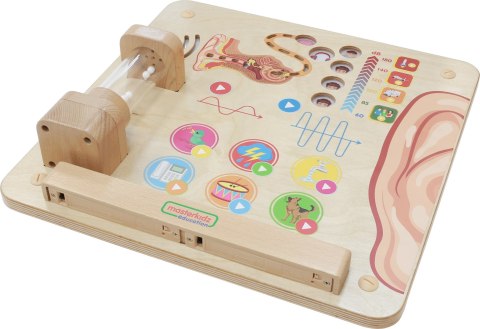 MASTERKIDZ Tablica Edukacyjna Zmysł Słuchu
