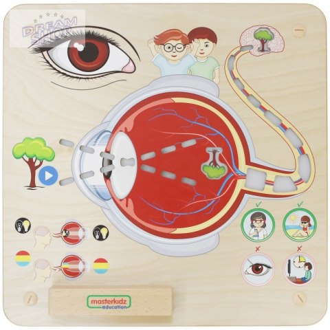 MASTERKIDZ Tablica Edukacyjna Zmysł Wzroku MASTERKIDZ Tablica Edukacyjna Zmysł Wzroku