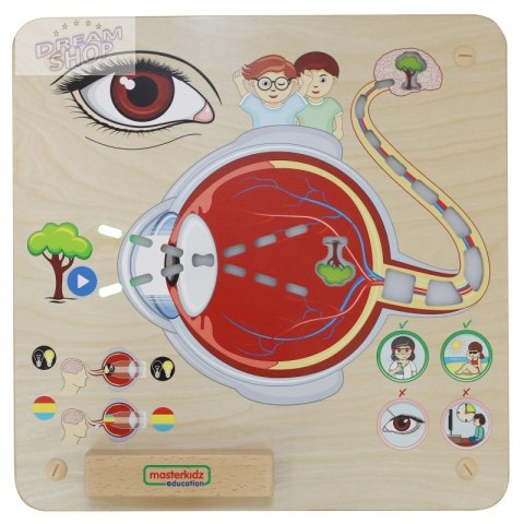 MASTERKIDZ Tablica Edukacyjna Zmysł Wzroku MASTERKIDZ Tablica Edukacyjna Zmysł Wzroku