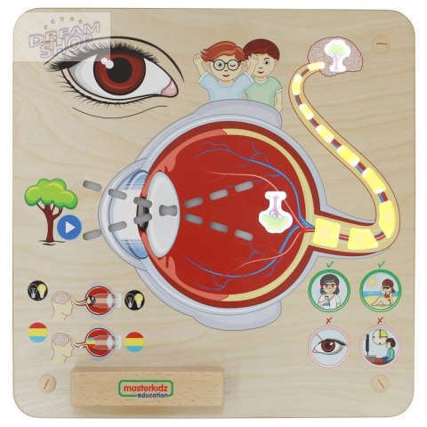 MASTERKIDZ Tablica Edukacyjna Zmysł Wzroku MASTERKIDZ Tablica Edukacyjna Zmysł Wzroku