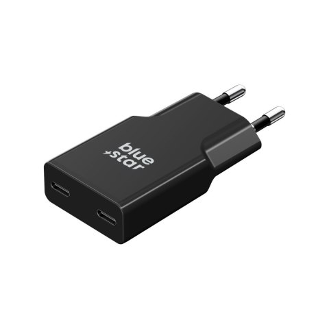 Ładowarka sieciowa do telefonu Blue Star Slim GaN 2 x USB C QC4.0 PD 3A 30W TFK-SC-30WCC czarna