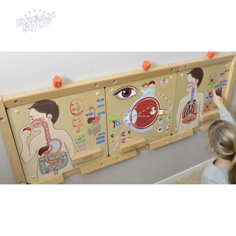 MASTERKIDZ Tablica Edukacyjna Układ Oddechowy MASTERKIDZ Tablica Edukacyjna Układ Oddechowy