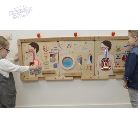 MASTERKIDZ Tablica Edukacyjna Układ Trawienny MASTERKIDZ Tablica Edukacyjna Układ Trawienny