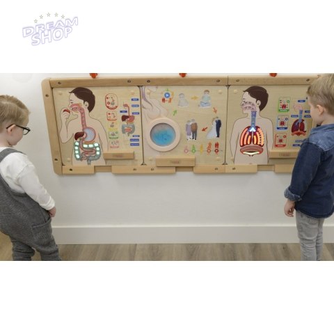 MASTERKIDZ Tablica Edukacyjna Układ Trawienny MASTERKIDZ Tablica Edukacyjna Układ Trawienny