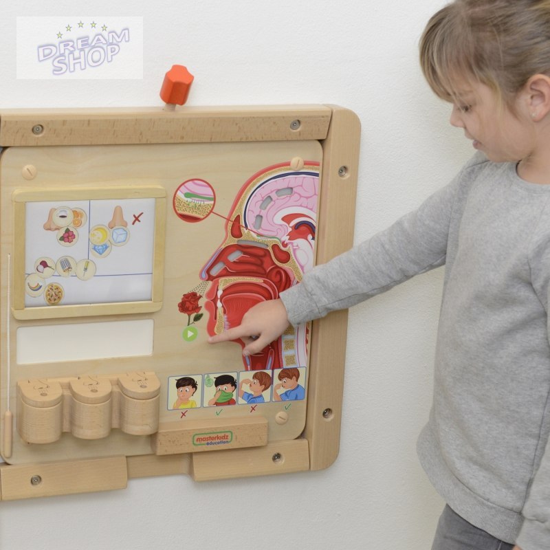 MASTERKIDZ Tablica Edukacyjna Zmysł Węchu MASTERKIDZ Tablica Edukacyjna Zmysł Węchu
