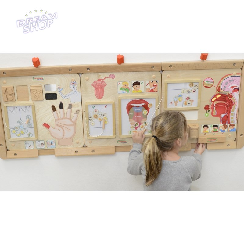 MASTERKIDZ Tablica Edukacyjna Zmysł Węchu MASTERKIDZ Tablica Edukacyjna Zmysł Węchu