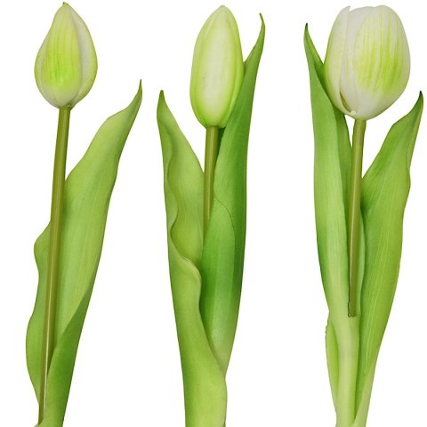 BUKIET 7 TULIPANÓW BIAŁYCH 31CM JAK ŻYWYCH DEKORACJA WIOSENNA