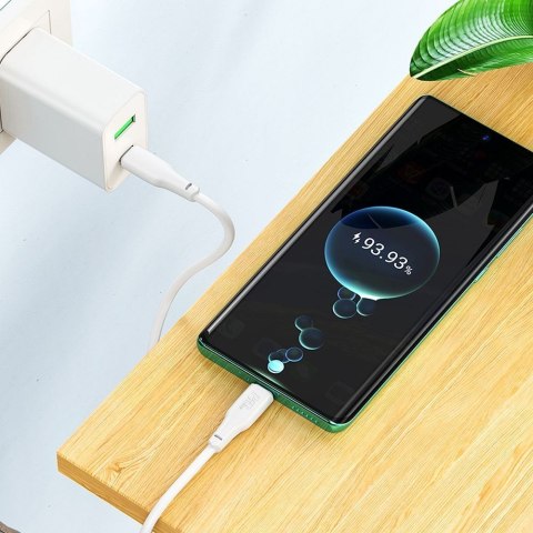 Kabel USB C do USB C Hoco 3A 100W 2 m X93 biały