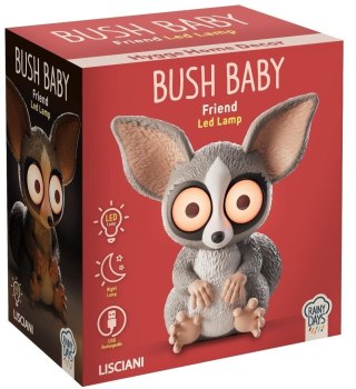 Lampka Galago-Bush Baby