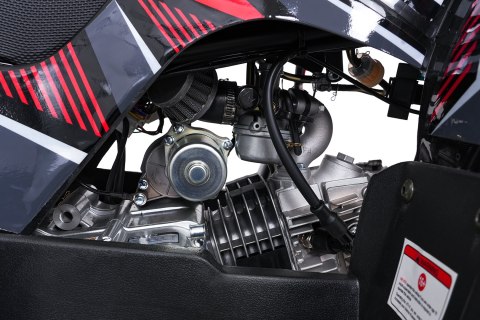 Pojazd Quad Spalinowy WILDPEAK 110cc Czerwony